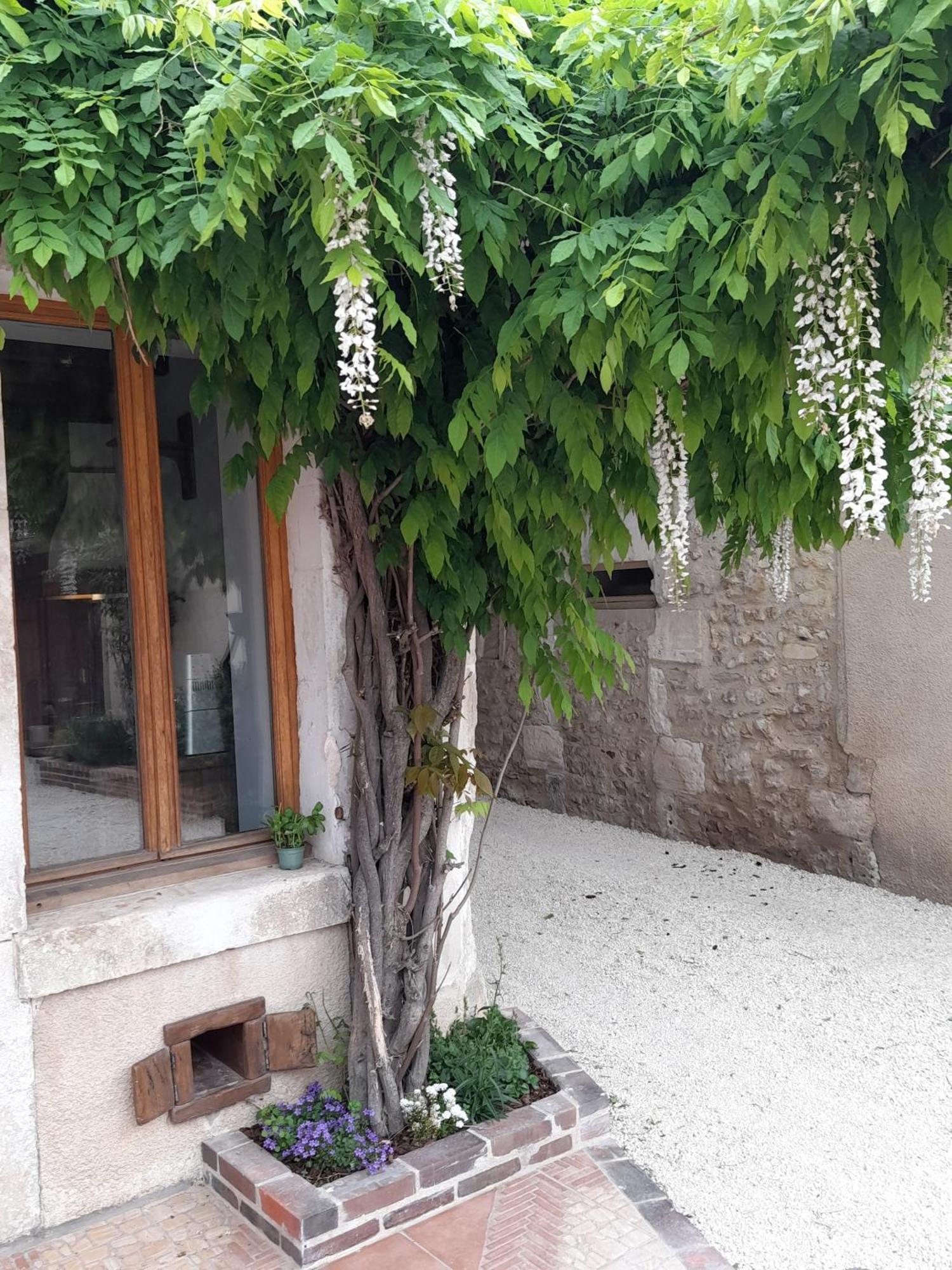 Aux Sources De Ouanne Bed & Breakfast ภายนอก รูปภาพ